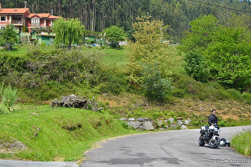 Ruta Asturias ruta querida: Carreteras colmadas de vegetación