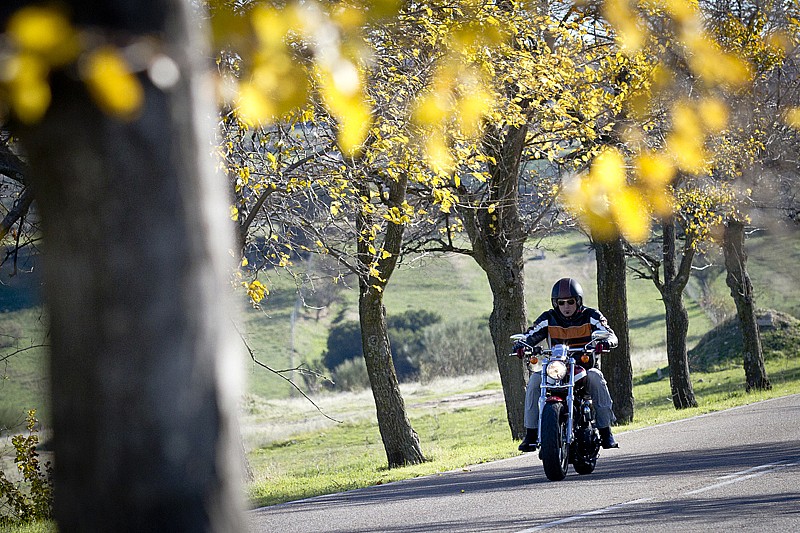 La Harley Davidson Sportster XL 1200 CA de 2013 recorriendo una carretera otoñal