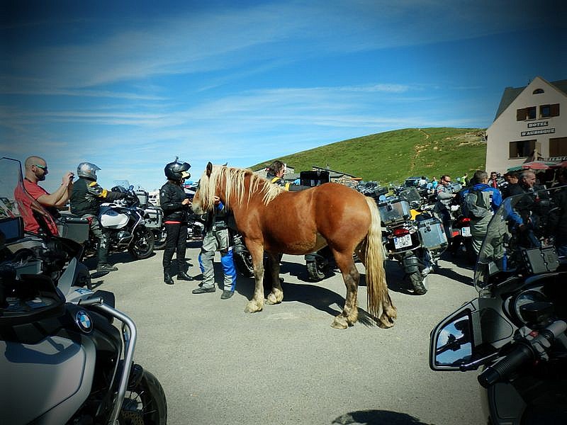 Caballo junto a motoristas en la ruta hacia Lourdes desde Formigal
