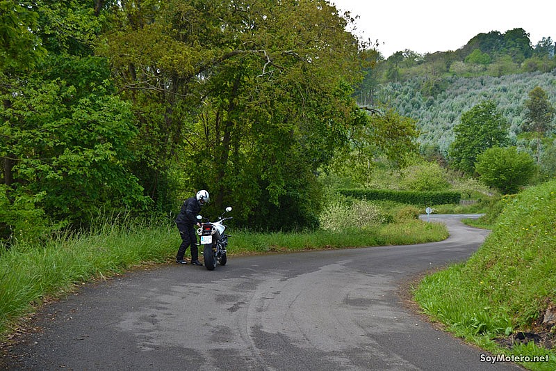 Ruta Asturias ruta querida: Aquí los guardarrailes son sustituidos por la vegetación