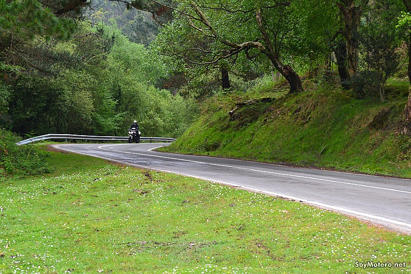 Rutas Asturias Ruta querida: Algunas carreteras se ven tuneladas por vegetación