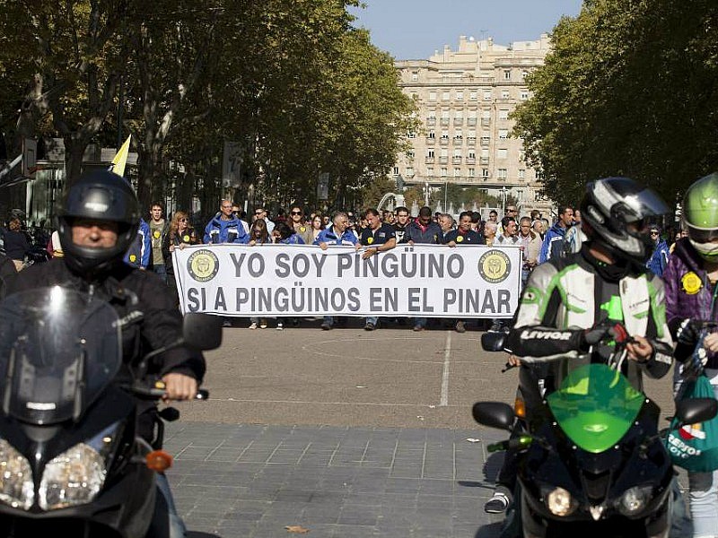 Valladolid se echó a la calle para apoyar a Pingüinos.