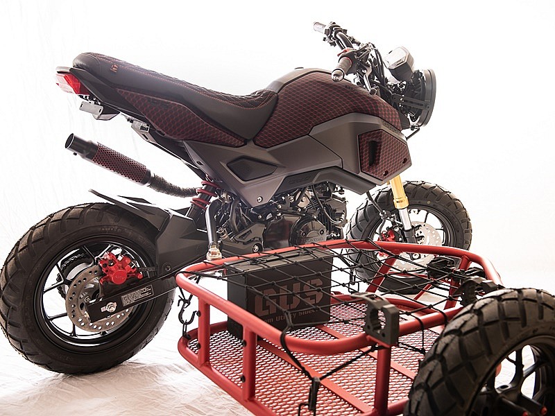 Honda MSX 125 sidecar - detalle