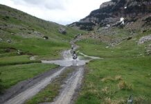 ARTIC Pirineos 2019
