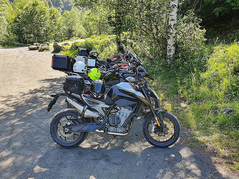 Un punto de parada en las rutas de Artic, bajo el follaje pirenaico.