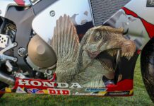 Honda RC51 "Jurassic Park III" - detalle