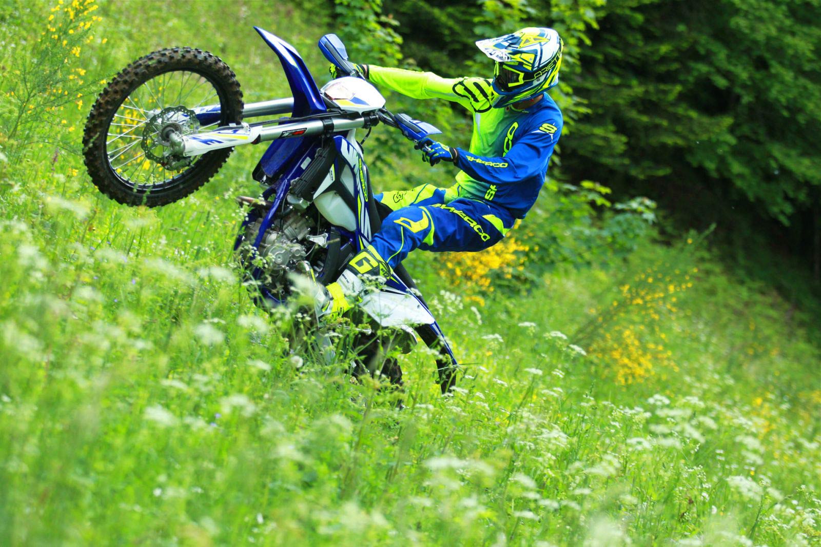 Sherco 250 SEF-R/ Factory 2020