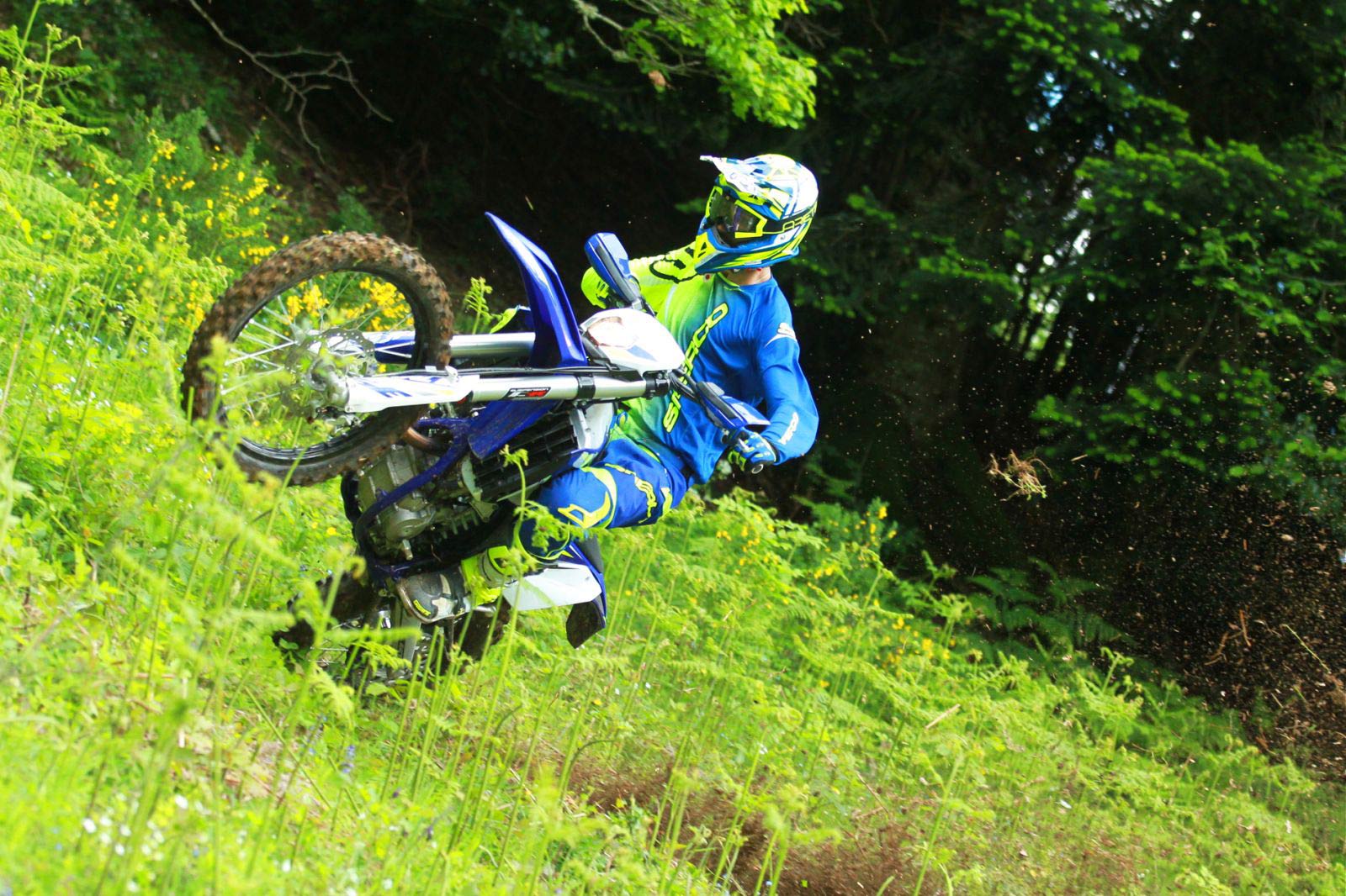 Sherco 250 SEF-R/ Factory 2020