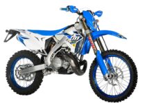 TM 300 FI ES 2020