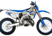 TM 300 FI ES 2020
