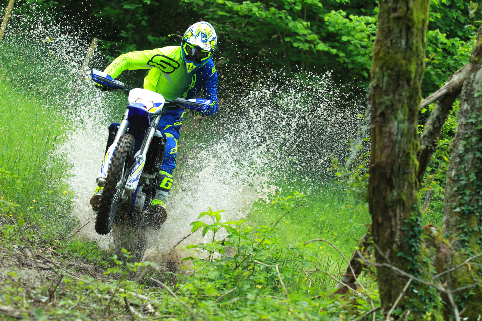 Sherco 500 SEF-R/ Factory 2020