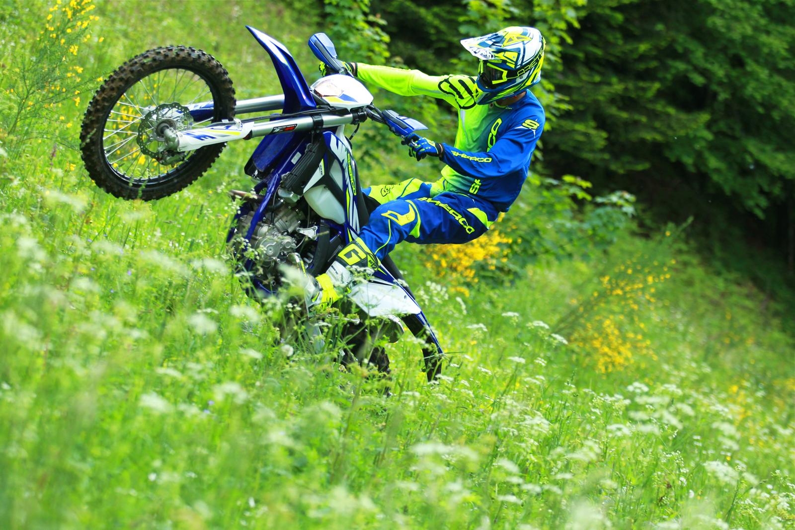 Sherco 450 SEF-R /Factory 2020