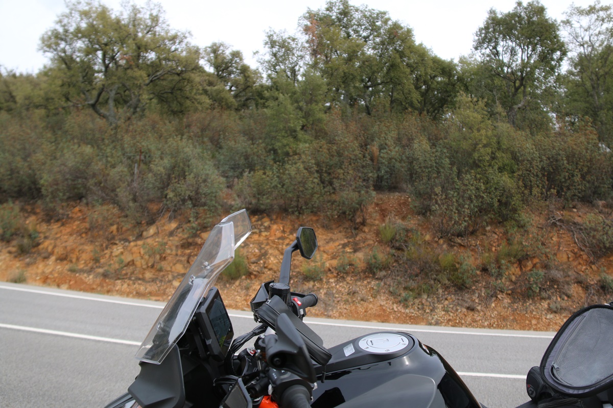 Ruta Top 12. Las jaras de La Jara