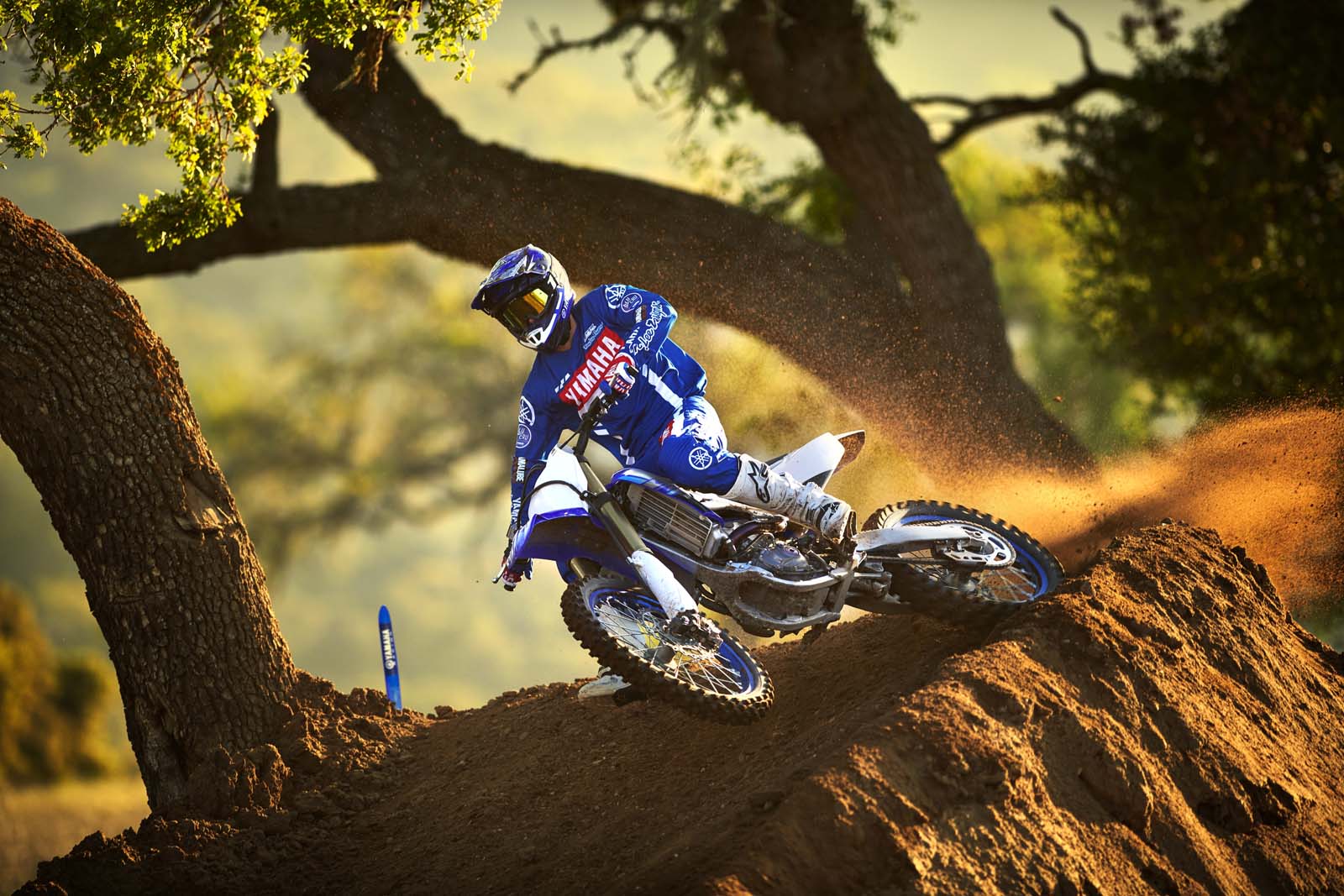Yamaha YZ250F 2020