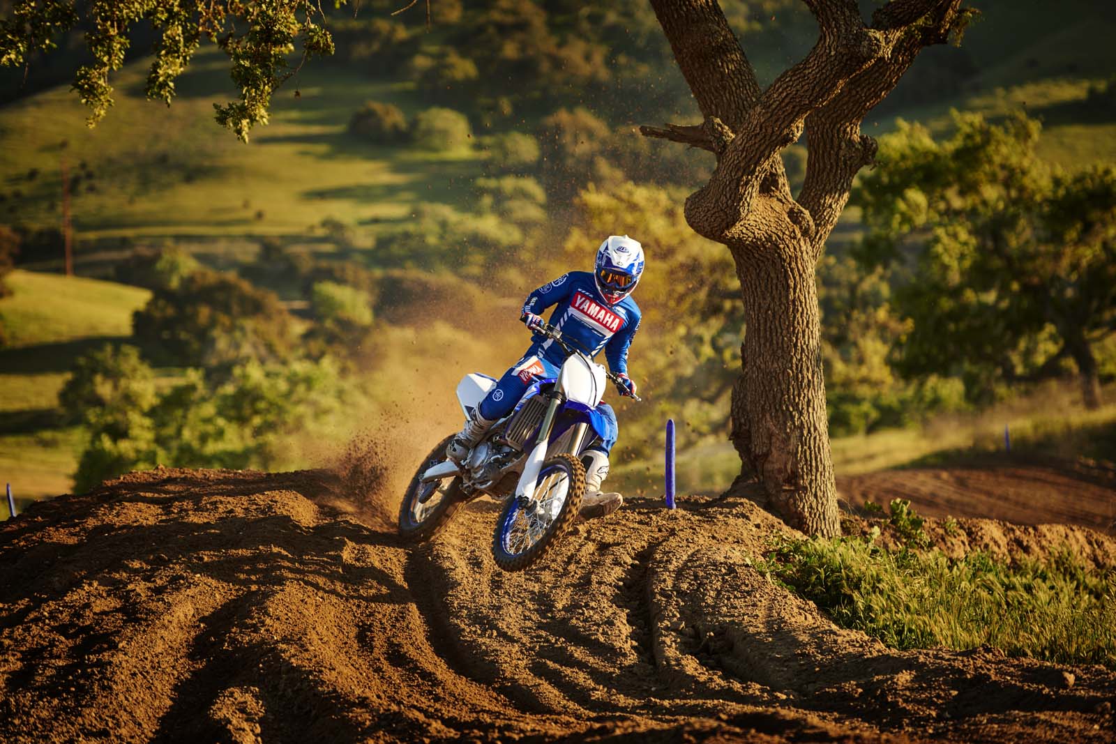 Yamaha YZ450F 2020