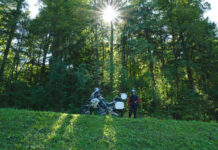 incontables_bosques_por_todo_el_pais