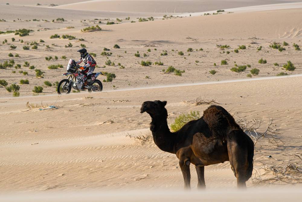 Preciosas imágenes del Dakar