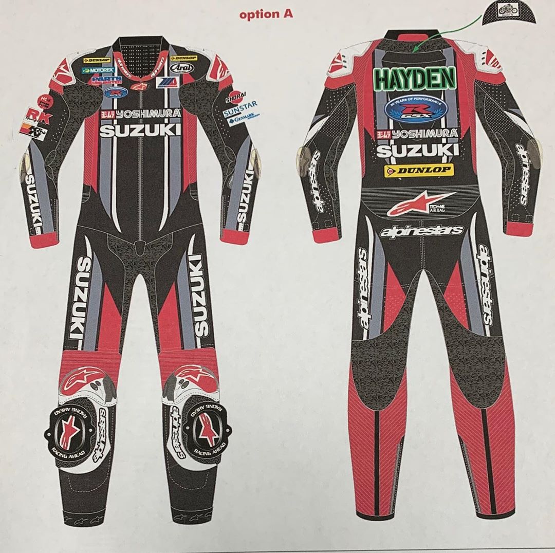 Diseño de uno de los monos de Hayden robados