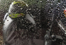 Así de fácil es protegerte de la lluvia en moto