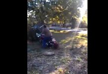 Estreno accidentado de Harley