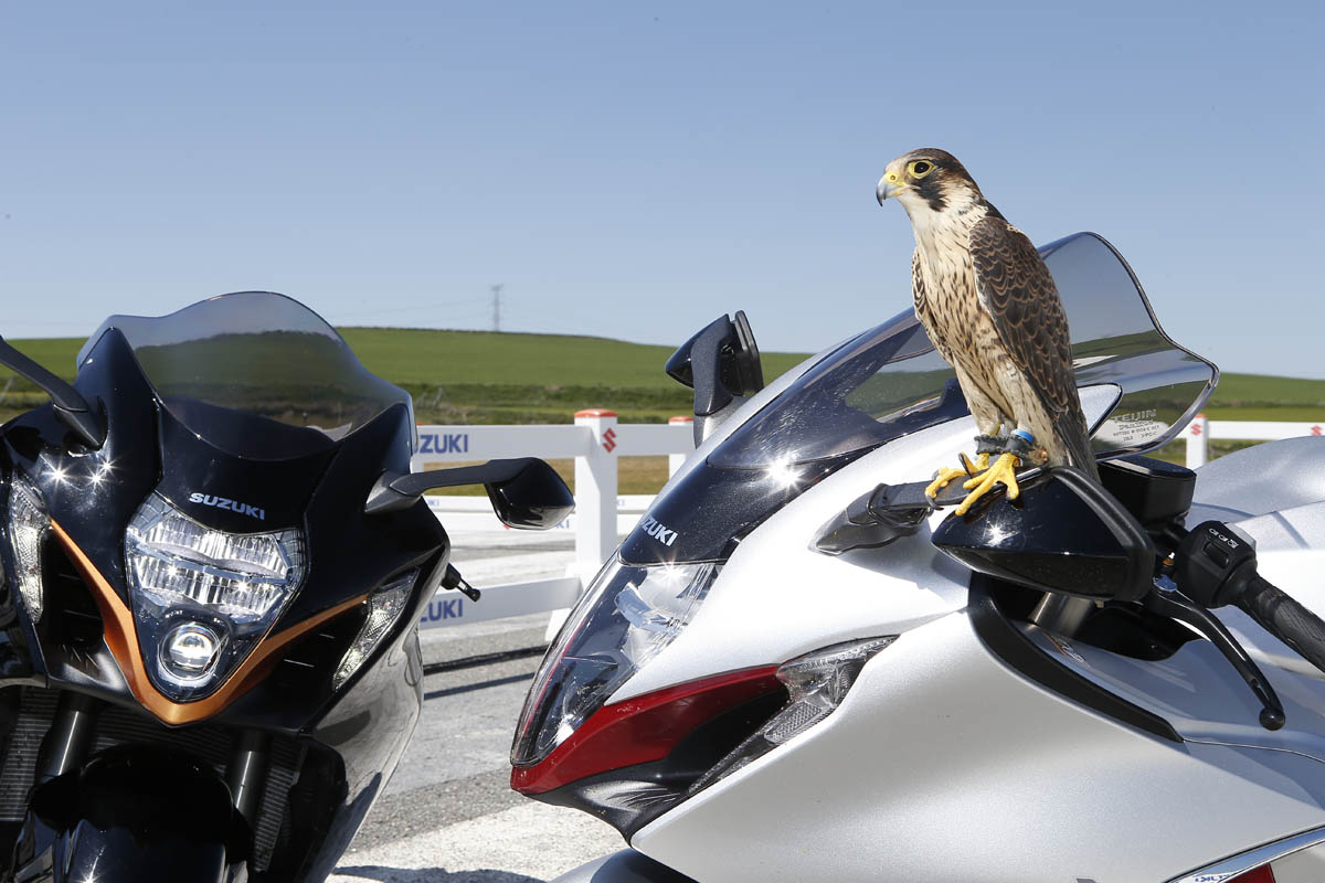 suzuki_gsx1300rr_hayabusa_2021_08