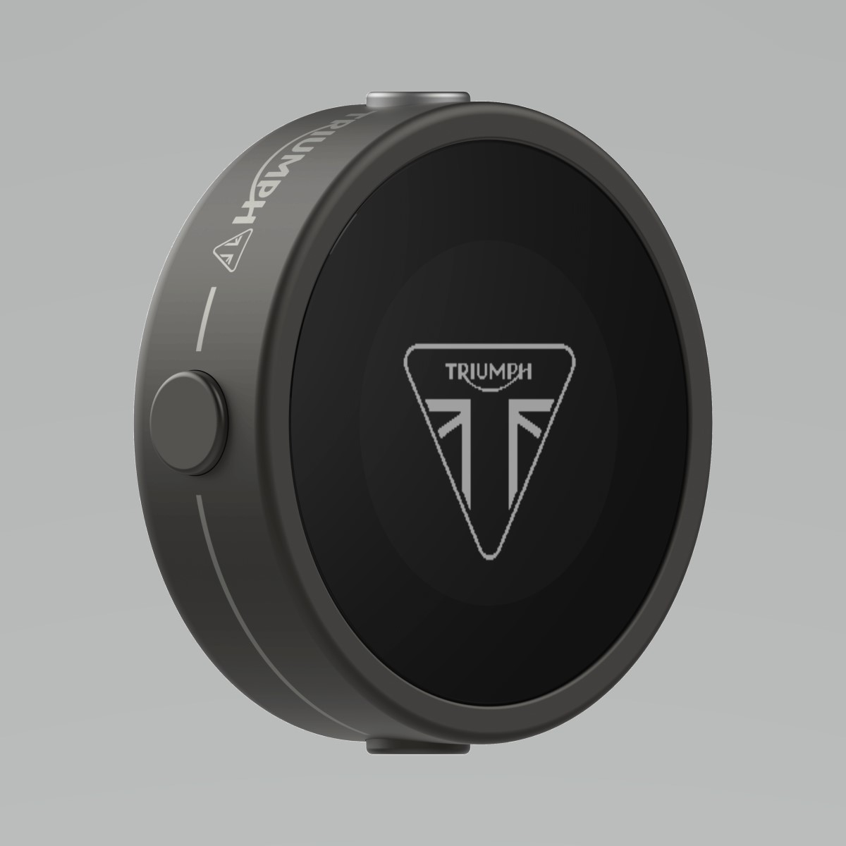 Navegador Triumph Beeline