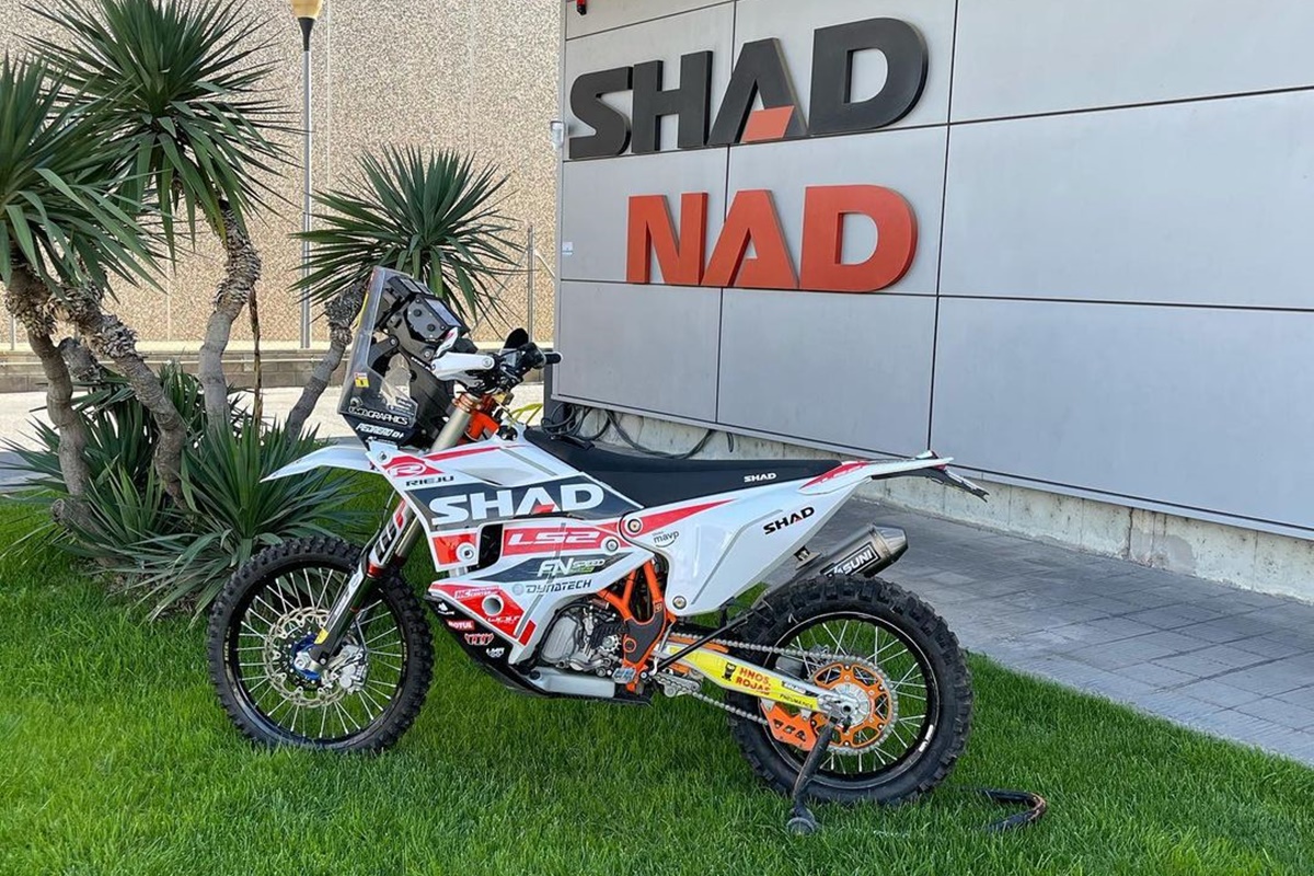 Joan Pedrero y SHAD, juntos