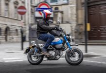 Acción Honda Monkey 125 2022