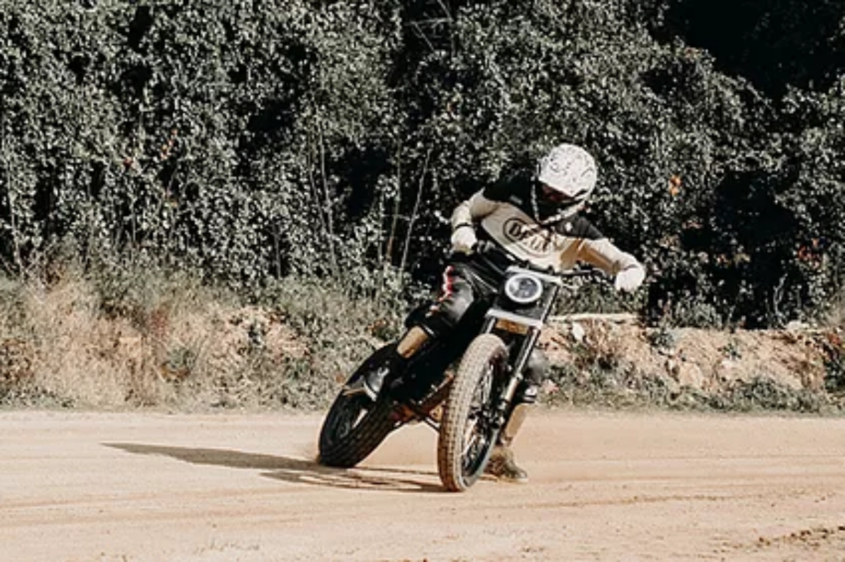 Trevor DTRe Stella Action