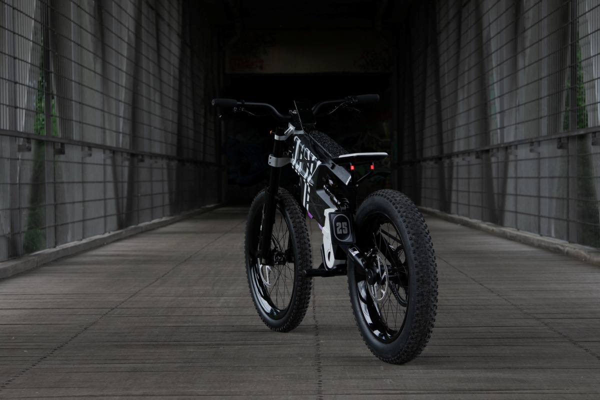 BMW Motorrad Vision AMBY detrás