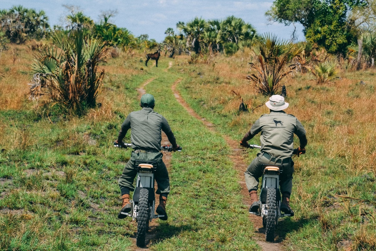 Kalk AP y Southern African Wildlife College y Goal Zero