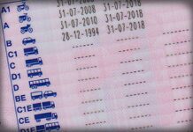 Habría una base de datos compartida