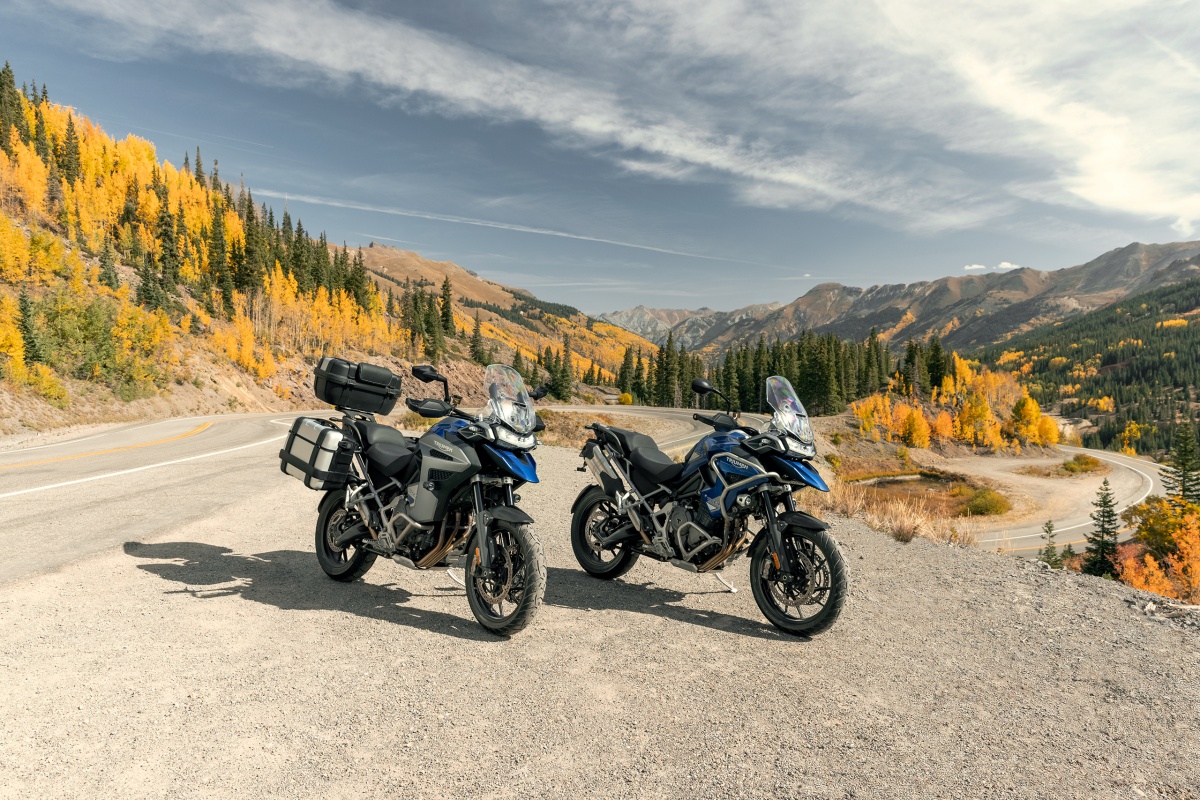 Gama Triumph Tiger 1200 2022 04