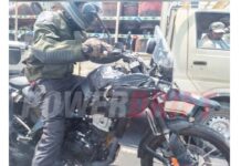 Mula de pruebas cazada entre el tráfico indio