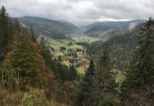 Zona de la región de Feldberg