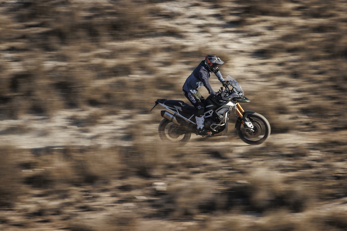 Nacen las becas Triumph 1000 DUNAS 2022