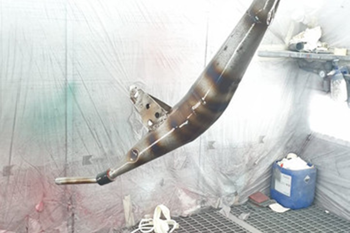 Pintura de tubarro
