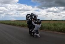 Los largos caballitos también forman parte del vídeo
