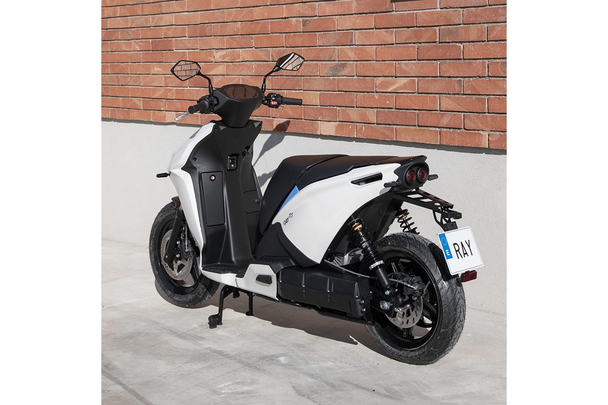 Nuevo Ray 7.7 2022