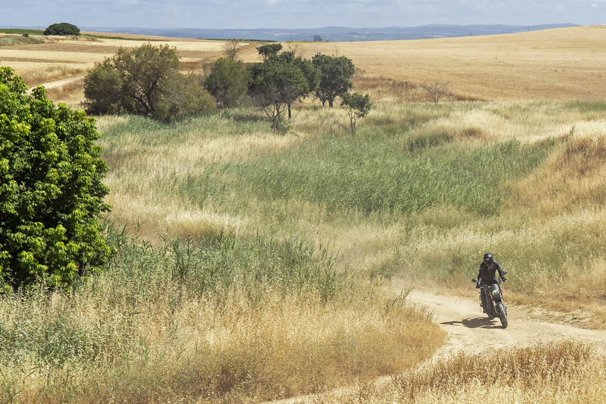 benelli_leoncino_800_trail_2022_05