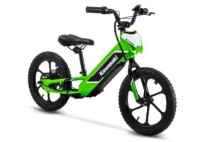 kawasaki-elektrode_1