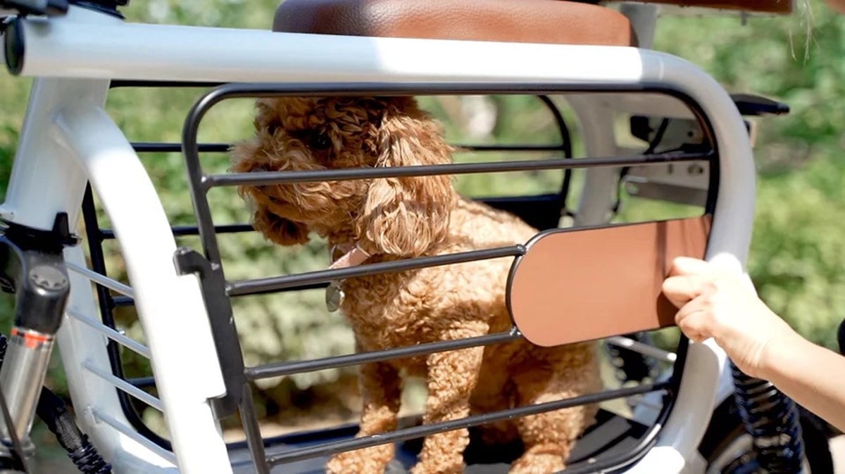 MoPet: El patinete eléctrico para poder transportar a nuestra mascota