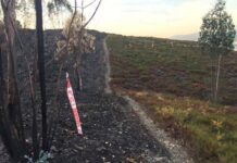 Zona calcinada por un incendio