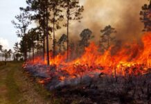 Incendio en pleno proceso de expansión