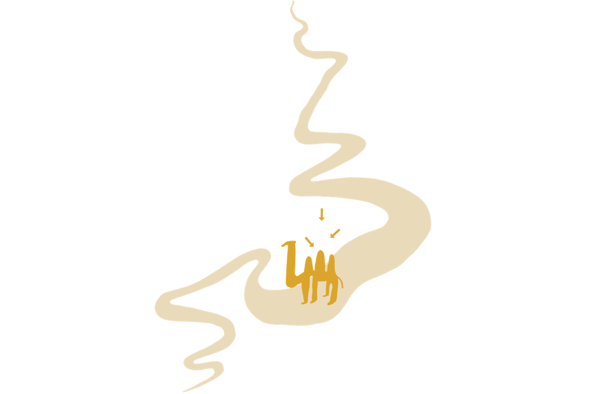 Logo del evento
