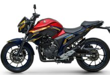 Yamaha FZ25 Thor, Love & thunder vista lateral