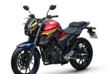 Yamaha FZ25 Thor, Love & thunder vista delantera izquierda