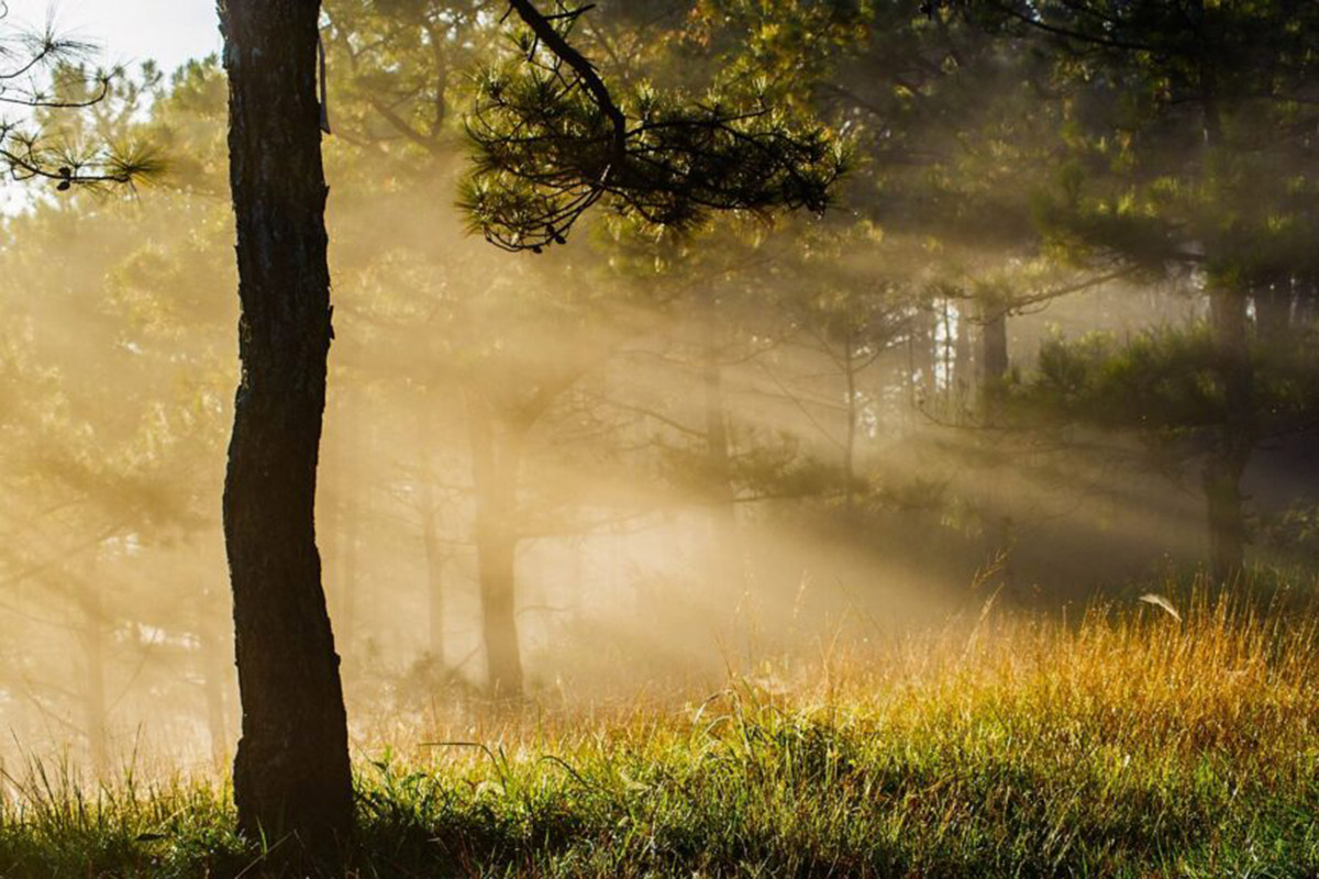 Disfrutar de la naturaleza es un privilegio que debemos cuidar