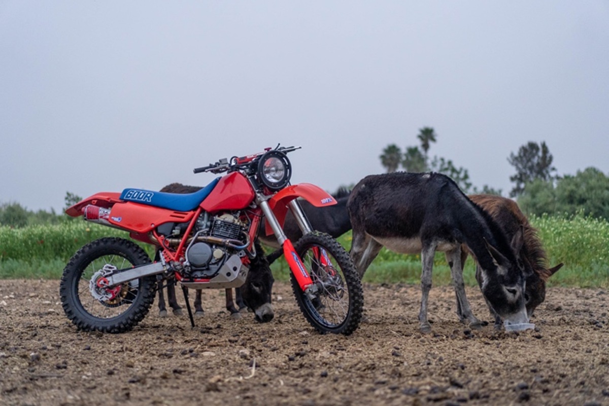 Honda XR600R 1997 Restomod