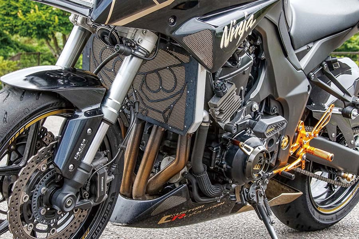 Custom Revolution Z1000 en detalle
